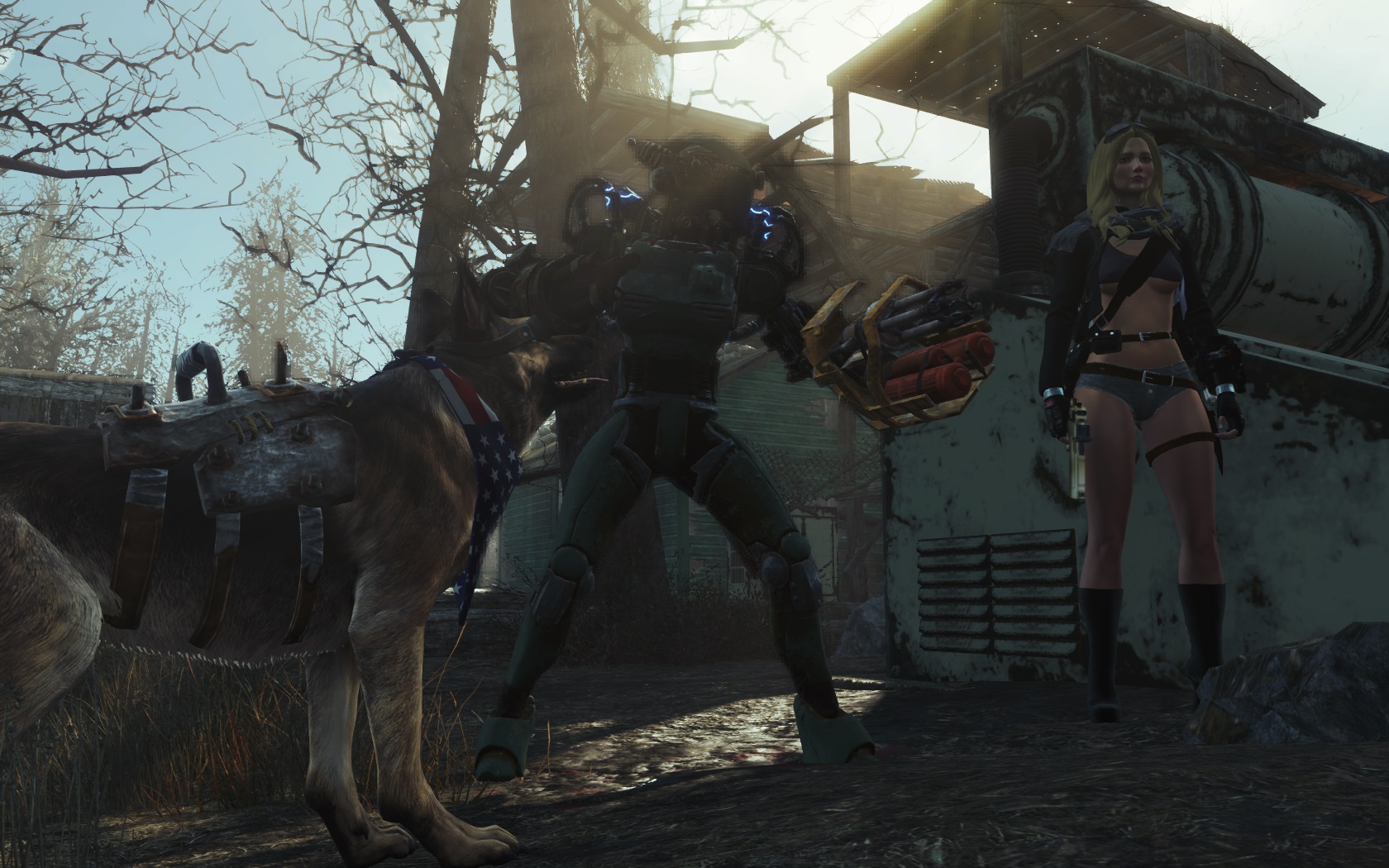 Fallout 4 companions console фото 5