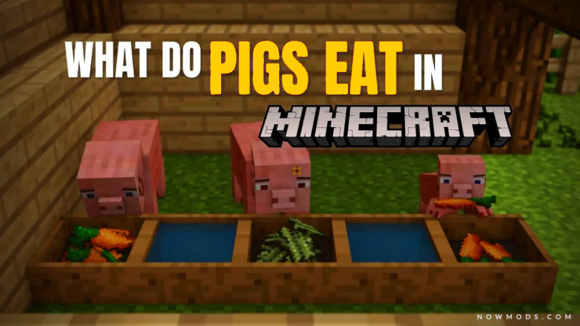 what do pigs eat in minecraft
